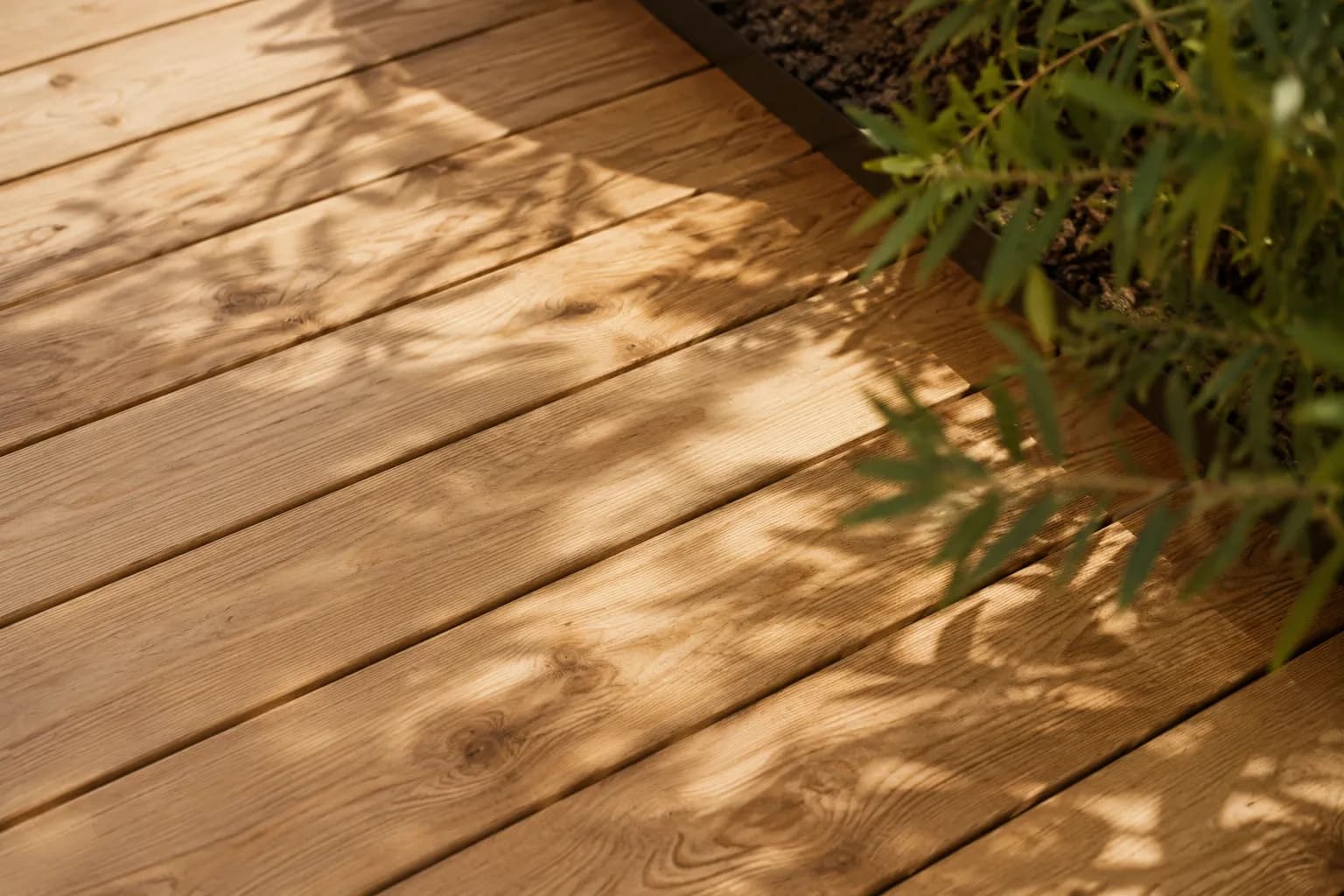 Terrasses bois naturel
